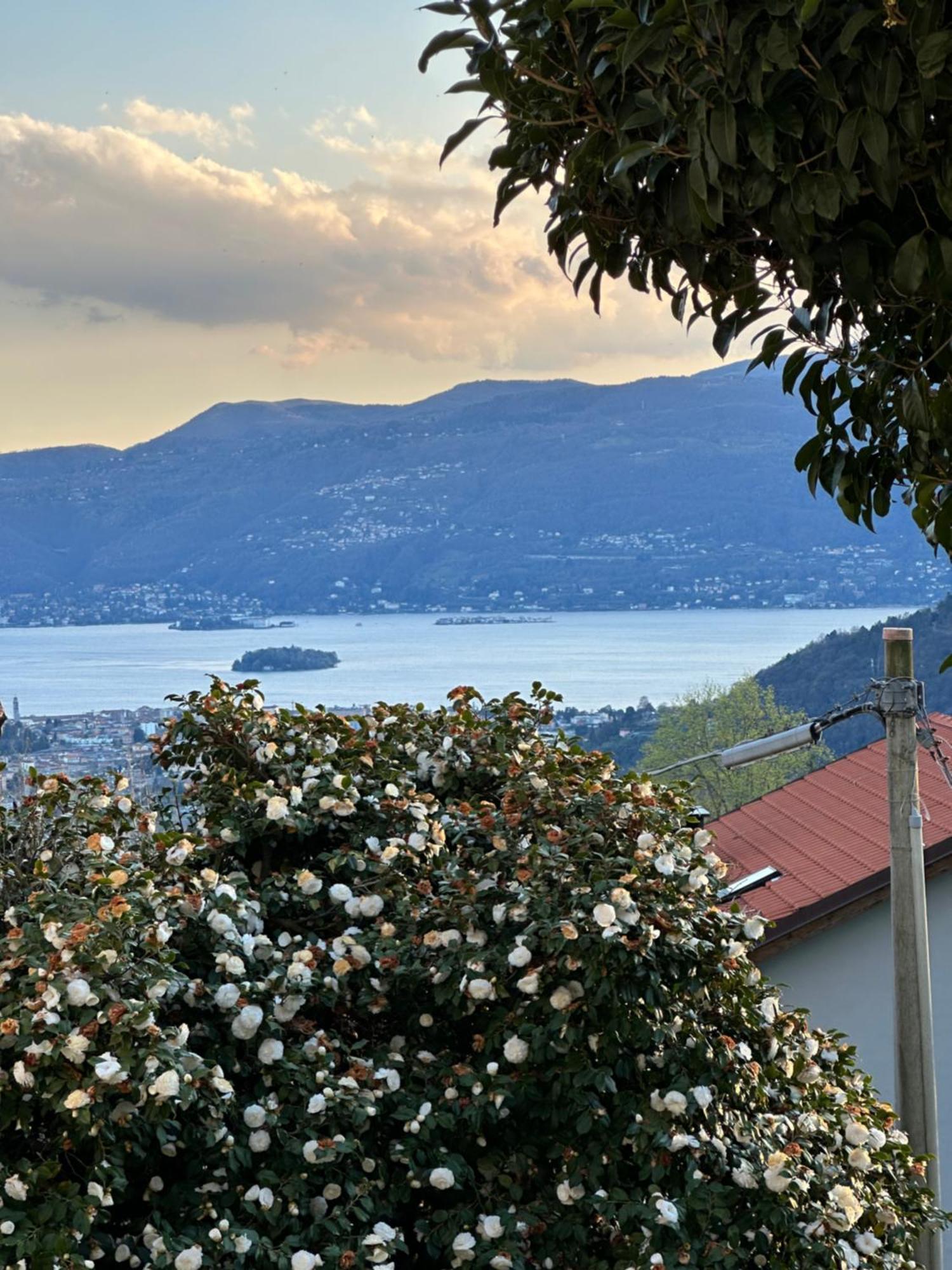 Villa Simonetta Bee المظهر الخارجي الصورة